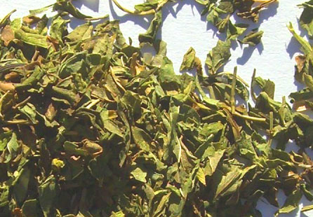 American Bulk Herbs USA Speamint Cut and Sift